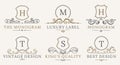 Retro Royal Vintage Shields Logotype set. Vector calligraphyc Luxury logo design elements. Business signs, logos