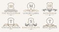 Retro Royal Vintage Shields Logotype set. Vector calligraphyc Luxury logo design elements. Business signs, logos