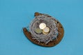 Retro rusty horseshoe silver bird nest euro coin