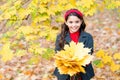Retro school girl gather autumn yellow maple leaves, beauty