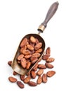 Retro scoop with cocoa beans Royalty Free Stock Photo