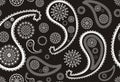 Retro seamless indian paisley pattern