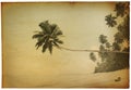 Retro Seaside with Palm Tree Photo