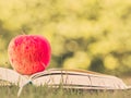 Retro and selective focus of red apple put on open book . Royalty Free Stock Photo