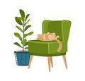 Retro soft chair and ornamental plant in pot. Vintage minimalistic armchair with sleeping cat