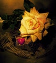 Retro still life - tea-rose and symbol of heart Royalty Free Stock Photo