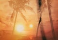 Retro style background on which there is sunset on the beach with palm trees Royalty Free Stock Photo