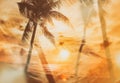 Retro style background on which there is sunset on the beach with palm trees Royalty Free Stock Photo