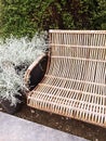 Retro style bench and decorative plant Calocephalus Brownii