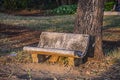 Retro style cement tiles bench in public park,big tree bark in background Royalty Free Stock Photo