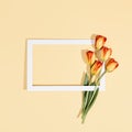 Retro style flower background. Tulip flower and white frame on pastel background. Spring minimal layout with light beige table and Royalty Free Stock Photo