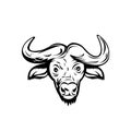 Head of an African Buffalo or Cape Buffalo Front View Retro Black and White