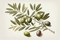 A retro-style image of an olives branch on a white background using risograph risoprint printing