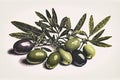 A retro-style image of an olives branch on a white background using risograph risoprint printing Royalty Free Stock Photo