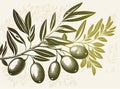 A retro-style image of an olives branch on a white background using risograph risoprint printing