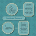 Retro Style Inforgraphic Board for Herbal Medicine