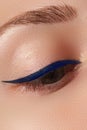 Retro style make-up. Daily makeup detail. Eyeliner. Beautiful eyes Royalty Free Stock Photo