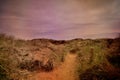 Retro style old photo of sandy pathway with grass reeds at beach sand dunes Royalty Free Stock Photo