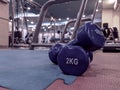 Retro style of a pair of small blue dumbbells of 2 kilograms placed on rubber gym floor with different gym interior equipment