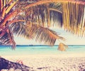 Retro style picture of womans legs on tropical beach. Royalty Free Stock Photo