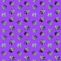 Retro-style Seamless pattern with clover leaf and ladybugs. Clover grass on violet background. Royalty Free Stock Photo