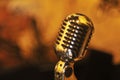 Retro style shiny silver microphone