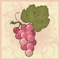 Retro-styled grape bunch Royalty Free Stock Photo