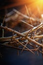 Retro styled image of bloody nails and crown of thorns in the rays of the sun as symbol of passion of Jesus Christ. Christianity Royalty Free Stock Photo