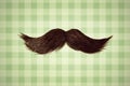 Retro styled image of a moustache in front of green wallpaper