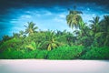 Retro stylized image of tropical island with coconut palm trees. Royalty Free Stock Photo