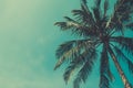 Retro stylized palm tree with sky on background