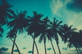 Retro stylized palm trees