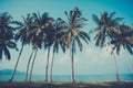 Retro stylized palm trees on tropical ocean shore