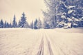 Retro stylized photo of cross-country skis on tracks