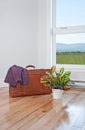 Retro suitcase and bright plant in empty room Royalty Free Stock Photo