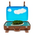 Retro suitcase with a small island