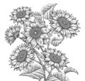 Retro Sunflower elements Royalty Free Stock Photo