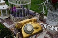 Retro telephone with the cage with flowers in nature garden Royalty Free Stock Photo