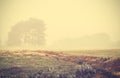 Retro toned foggy autumnal landscape at sunrise