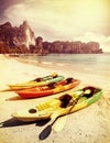 Retro toned kayaks on a tropical beach. Royalty Free Stock Photo