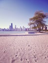 Retro toned photo of Chicago city from Lake Michigan beach, USA Royalty Free Stock Photo