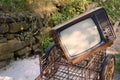 Retro TV on a Meadow