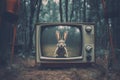 A retro TV set with rabbit ears, focusing on the grainy screen and the aesthetic of old technology Royalty Free Stock Photo