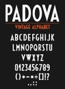 Retro Vintage Alphabet with letters, numbers and orthographic signs Royalty Free Stock Photo