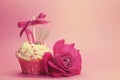 Retro vintage filter princess cupcake with high heel shoe and rose Royalty Free Stock Photo