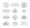 Retro Vintage Insignias or Logotypes set. Vector design elements, business signs, logos, identity, labels, badges Royalty Free Stock Photo