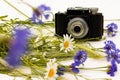 Retro vintage old camera with cornflowers and daisies on white wooden background Royalty Free Stock Photo