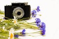 Retro vintage old camera with cornflowers and daisies on white wooden background. Copy space Royalty Free Stock Photo