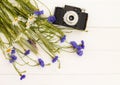 Retro vintage old camera with cornflowers and daisies on white wooden background. Top view. Copy space Royalty Free Stock Photo