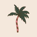 Retro vintage palm tree isolated